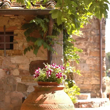 Hotel Colle Etrusco Salivolpi