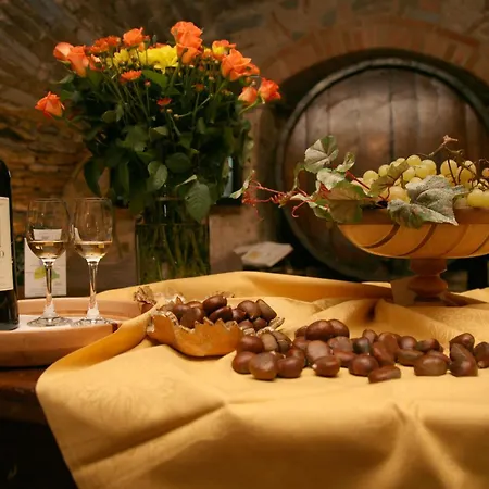 Hotel Colle Etrusco Salivolpi 3*