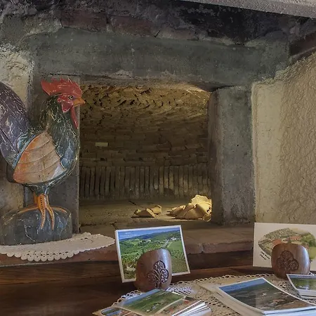 Hotel Colle Etrusco Salivolpi 3*