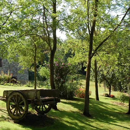 Отель Colle Etrusco Salivolpi Кастелина ин Шианти